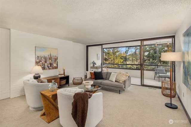 carpeted living room with a textured ceiling