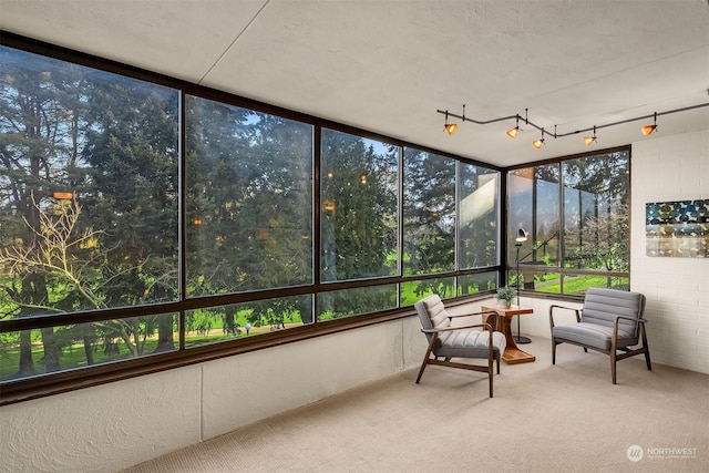 sunroom featuring rail lighting