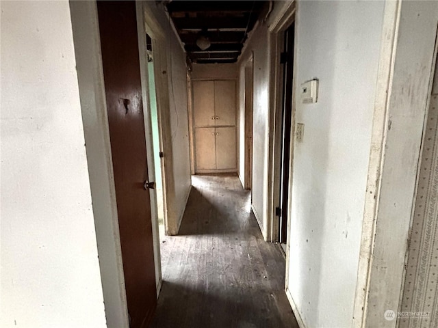 hallway with dark hardwood / wood-style floors