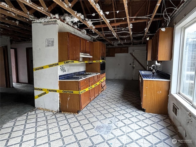 kitchen with sink and a wealth of natural light