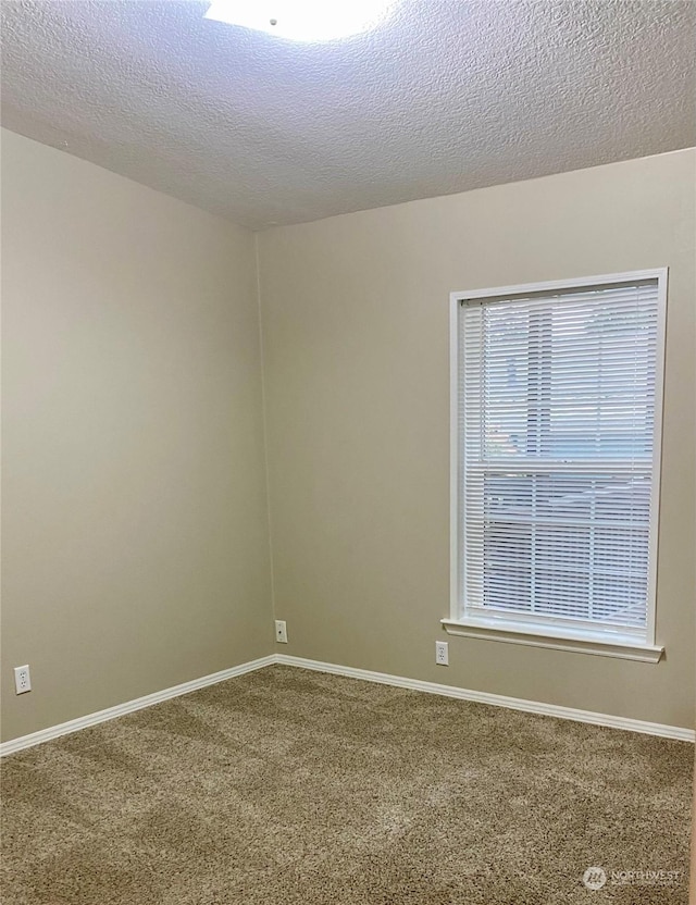 spare room with carpet flooring and a textured ceiling