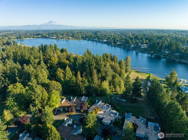 birds eye view of property featuring a water view and a wooded view