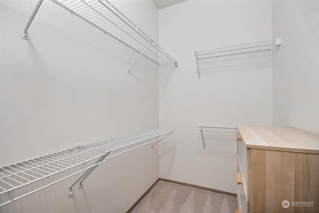 spacious closet featuring light colored carpet