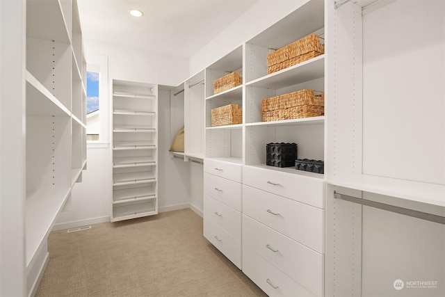 spacious closet with light carpet