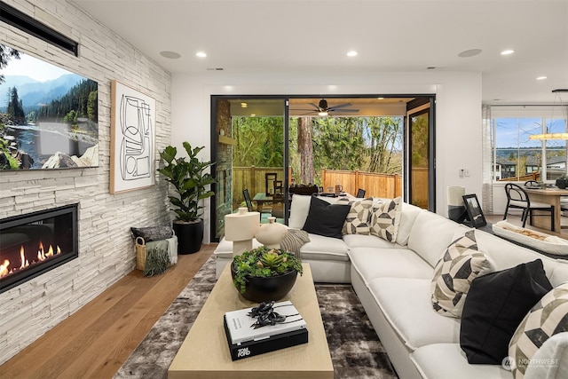 living room featuring hardwood / wood-style floors and a fireplace