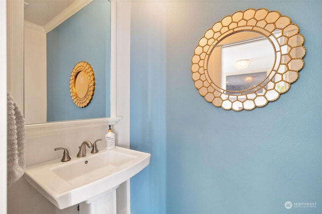 bathroom featuring sink and crown molding