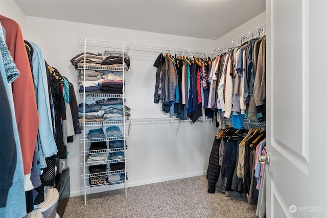 spacious closet featuring carpet floors