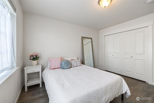 bedroom featuring dark wood-type flooring