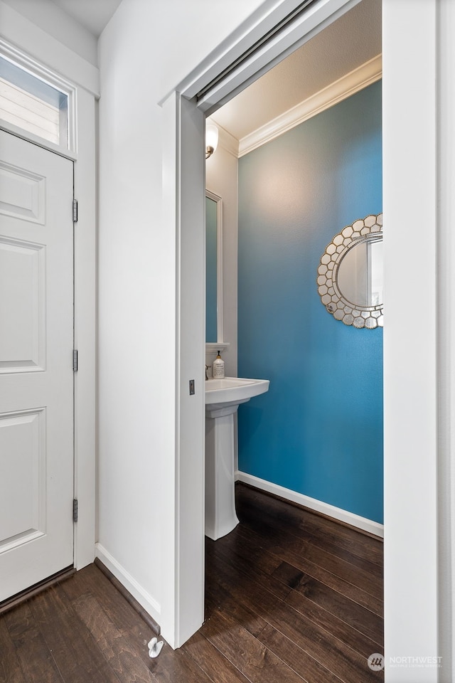 foyer with hardwood / wood-style floors and ornamental molding