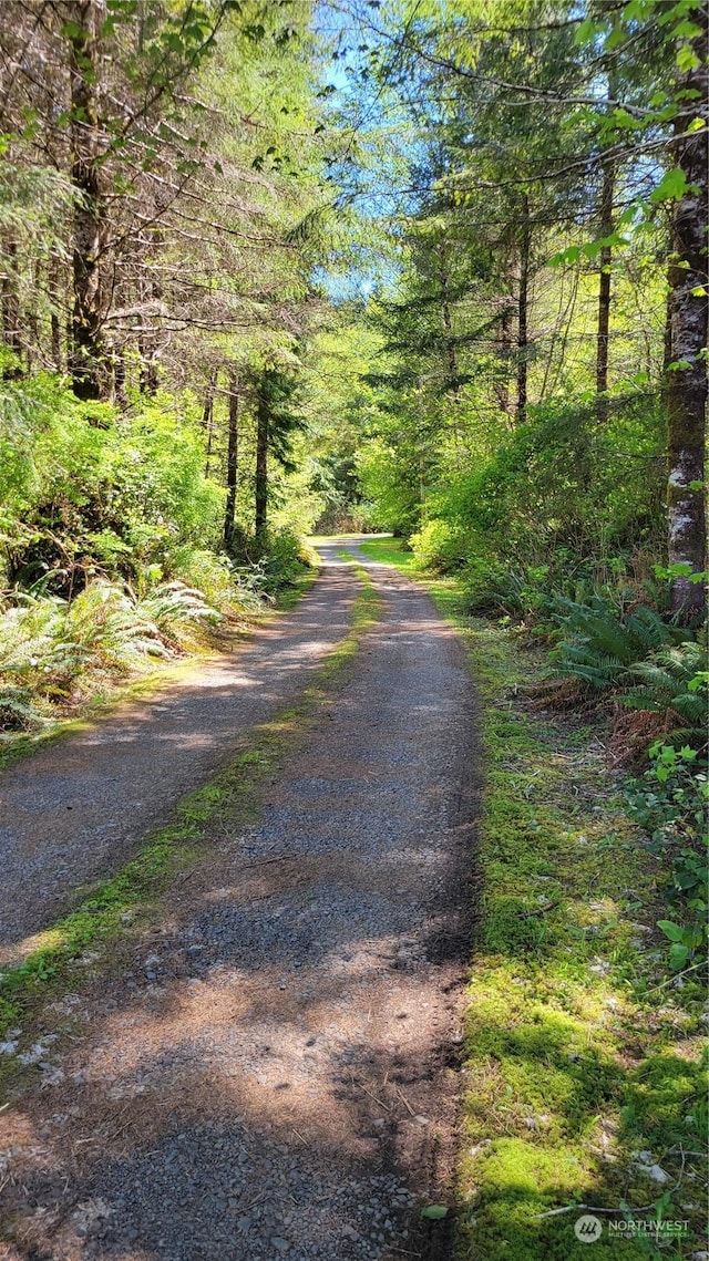 view of road