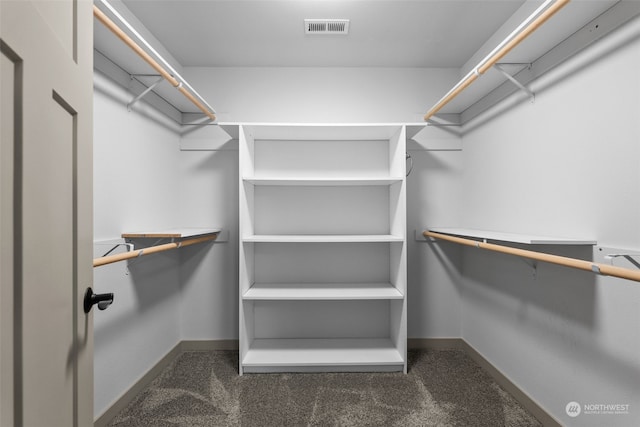 walk in closet with dark colored carpet