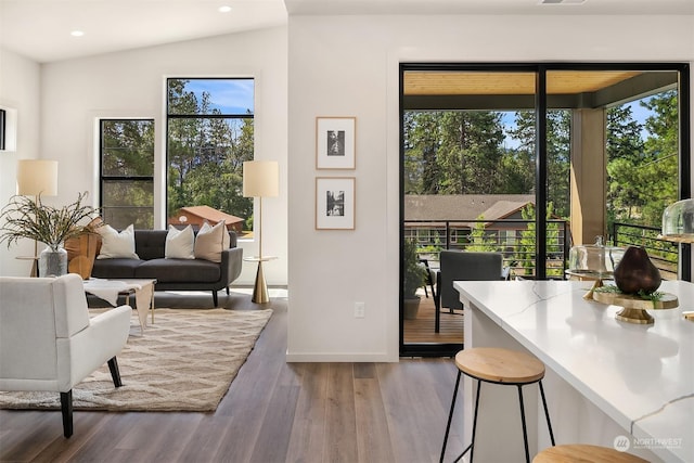 living room featuring lofted ceiling and dark hardwood / wood-style floors