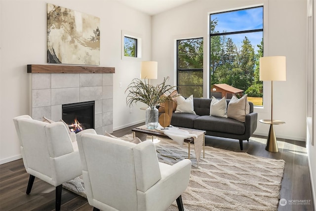 living room featuring hardwood / wood-style flooring and a fireplace