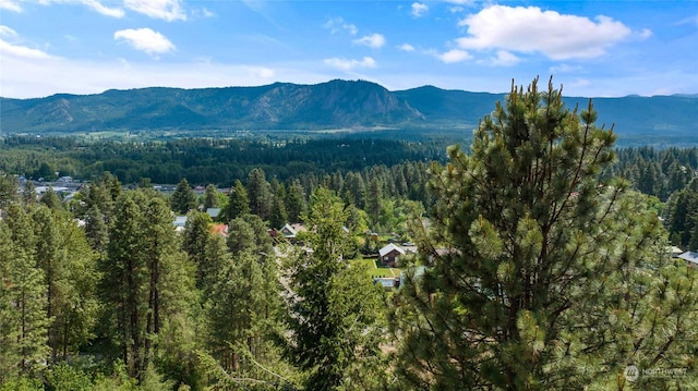 property view of mountains