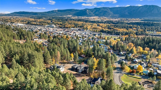 drone / aerial view featuring a mountain view