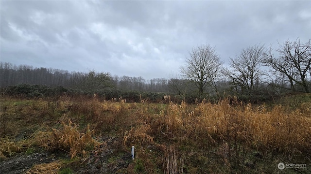 view of local wilderness