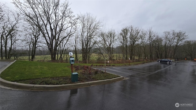 view of street featuring curbs