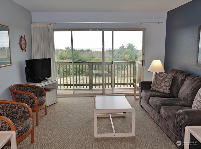 living room with carpet