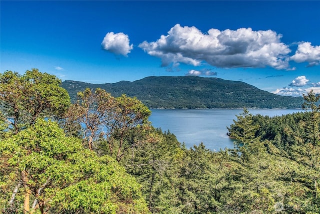 view of water feature with a mountain view