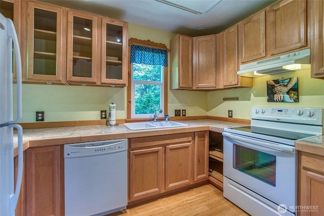 kitchen featuring white appliances, a sink, glass insert cabinets, light wood-style floors, and under cabinet range hood