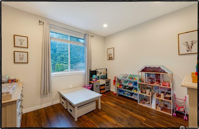 playroom featuring dark wood-type flooring