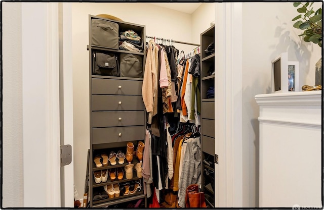 view of walk in closet