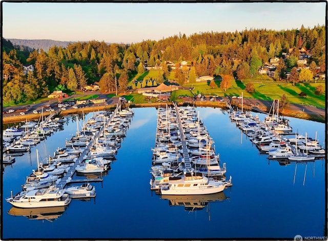 birds eye view of property with a water view