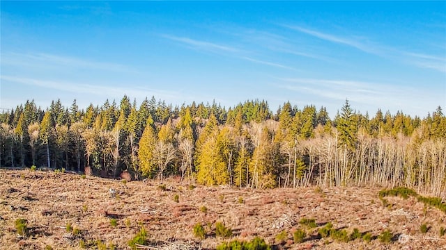 0 E Libby Rd, Shelton WA, 98584 land for sale