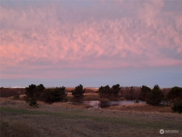 view of nature at dusk