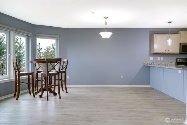 dining space with light hardwood / wood-style flooring