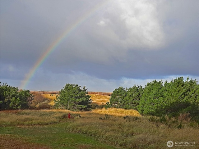 view of local wilderness featuring a rural view