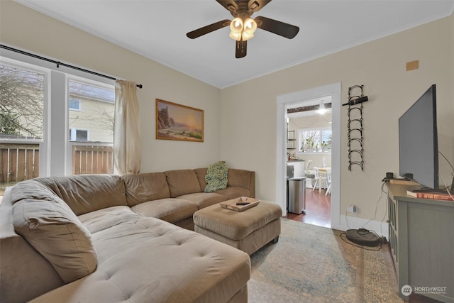 living room with hardwood / wood-style flooring, ornamental molding, and ceiling fan