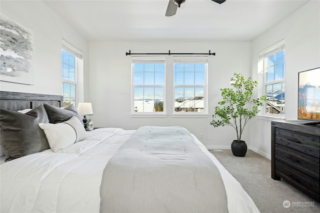 bedroom featuring multiple windows, carpet floors, and ceiling fan