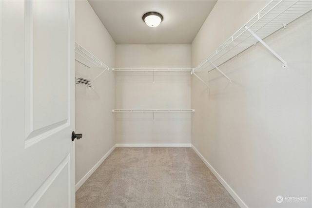 spacious closet with light colored carpet