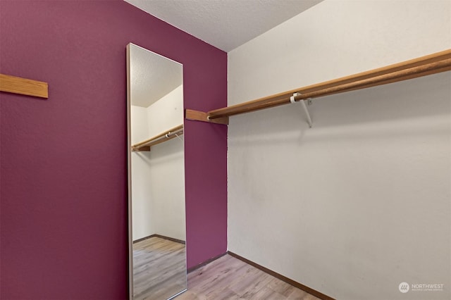 spacious closet with light wood-type flooring