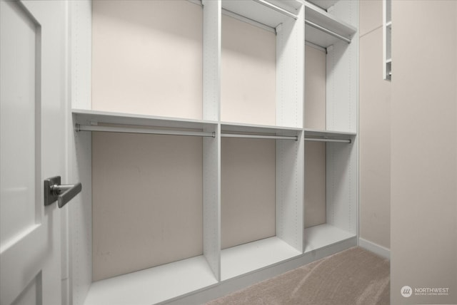 spacious closet with carpet flooring