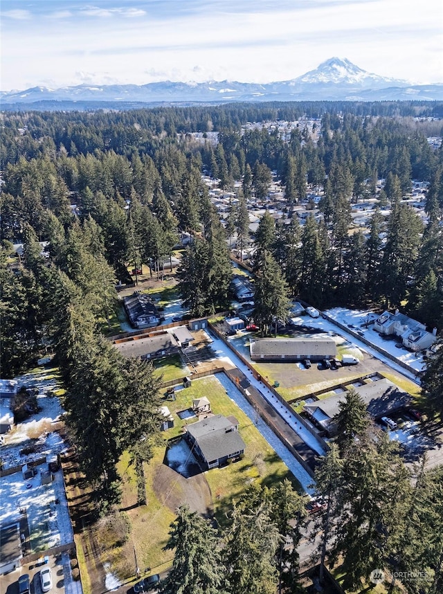 birds eye view of property featuring a mountain view