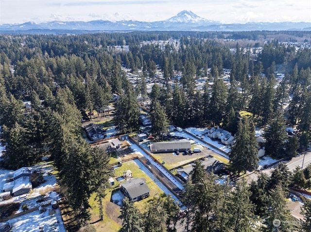 bird's eye view with a mountain view