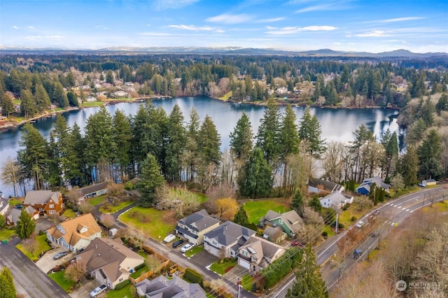 birds eye view of property with a residential view and a water and mountain view