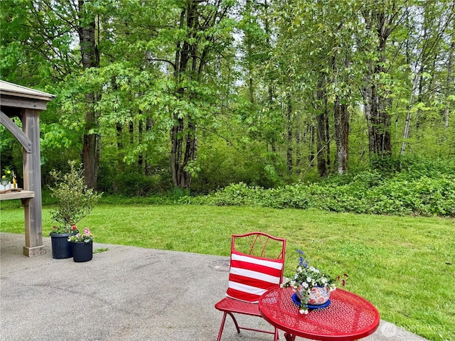 23415 152nd Ave E, Graham, WA 98338 - view of patio / terrace