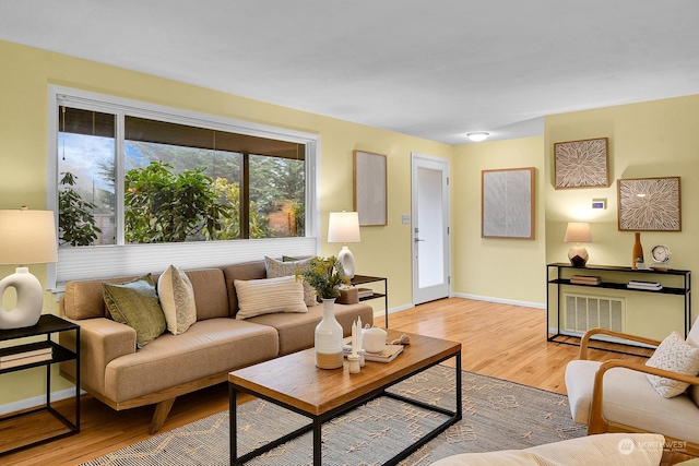 living room featuring light hardwood / wood-style floors