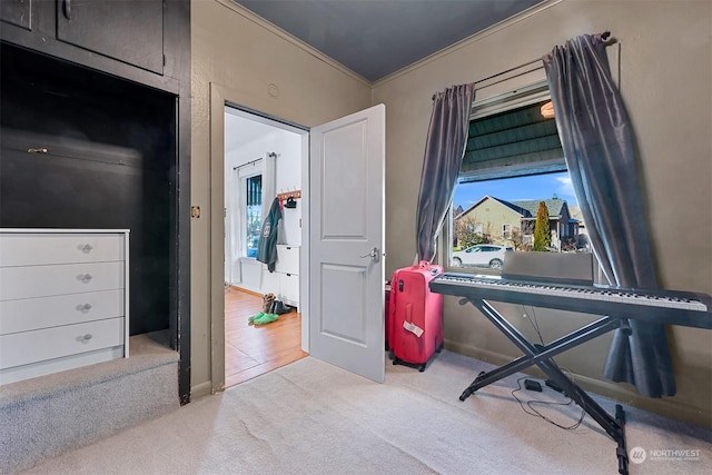 miscellaneous room with crown molding, plenty of natural light, and light colored carpet