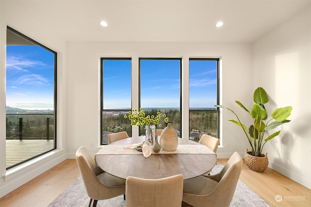 dining space featuring light wood-type flooring