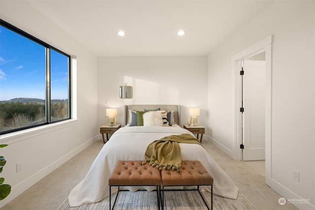 view of carpeted bedroom