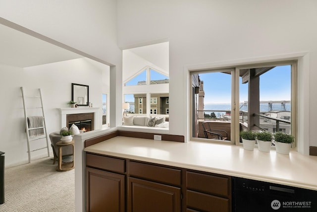 kitchen featuring dishwasher, open floor plan, plenty of natural light, and light colored carpet