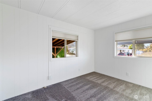 carpeted empty room with a healthy amount of sunlight