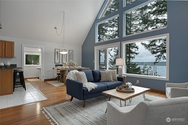 living room with high vaulted ceiling and light wood-type flooring