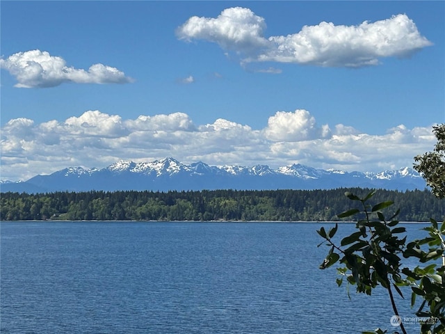 view of water feature with a mountain view