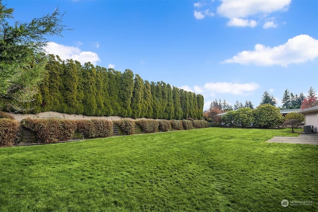 view of yard with central AC