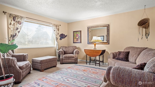 carpeted living room with a textured ceiling